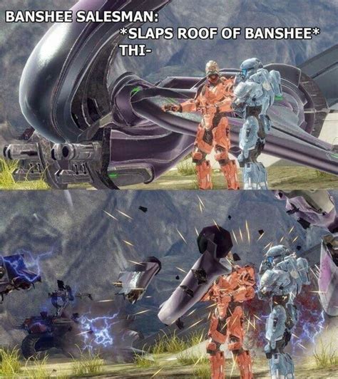 This Is One Of My Favourite Halo Memes Its Also True Banshees Never Were Really Known For