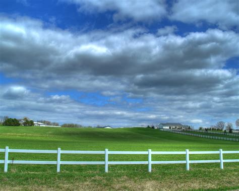 Green Pasture Free Photo Download Freeimages