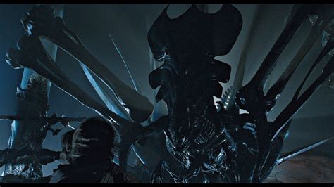 Aliens 1986 Xenomorph Queen Shootout Scene L Best Quality