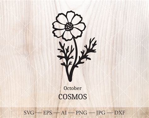 Cosmos SVG October Birth Flower SVG. Birth Month Flower | Etsy in 2022