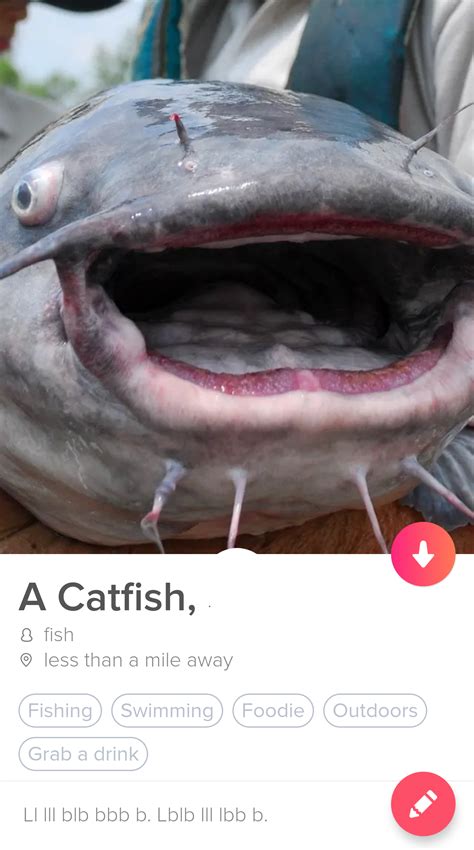 Selfie Catfish Animal Meme