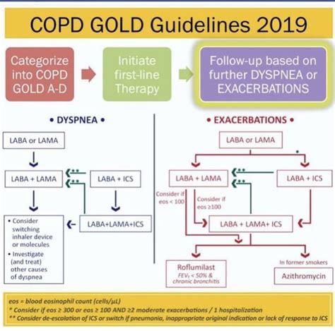 COPD Guidelines Asthma Treatment Ambulatory Care Copd Treatment