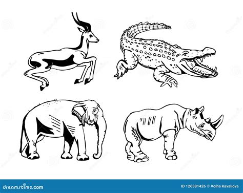 Hand Drawn Pencil Graphics African Animals Set Stock Vector