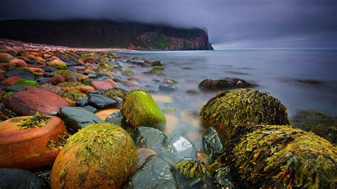 Seashore With Red And Green Stones Landscape Stones Scotland Beach