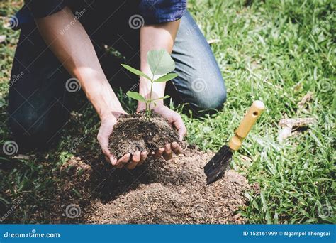 World Environment Day Reforesting Hands Of Young Man Were Planting The