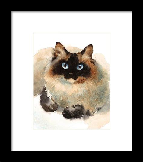 Ragdoll Cat Framed Print By Maria Stezhko Watercolor Cat Cat Art