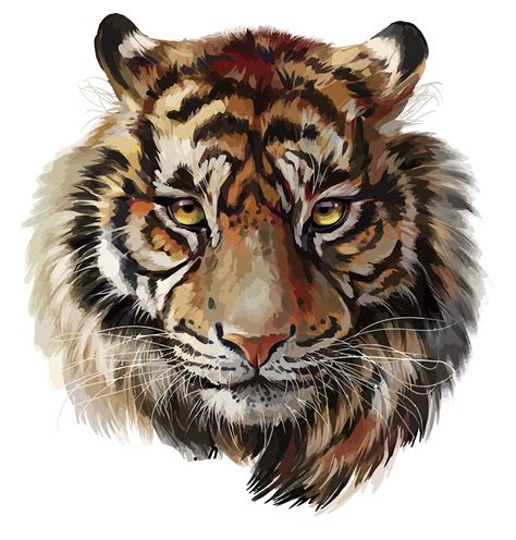 Tiger Png For Photoshop Tiger Free Png Images Watercolor Tiger