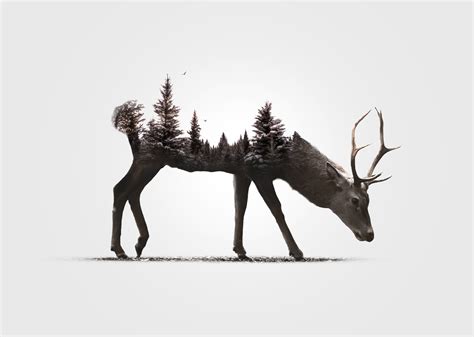 Wallpaper Forest Illustration Deer Digital Art Birds Animals