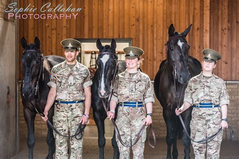 Visiting The Kings Troop Royal Horse Artillery And What I Learnt