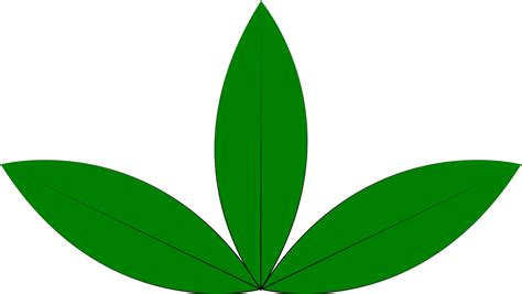 It is easy to do, and prevents transplant shock! Seedling clipart sprouted, Seedling sprouted Transparent ...
