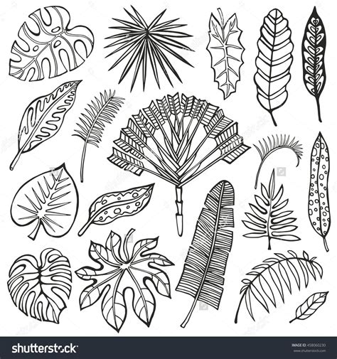 Palm Leaves Outline ~ Palm Tree Leaves Outline Template Leaf Printable