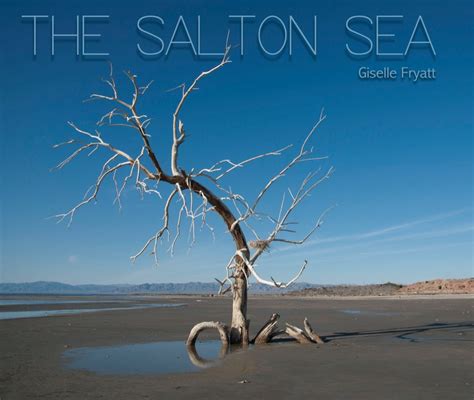 The Salton Sea By Giselle Fryatt Blurb Books