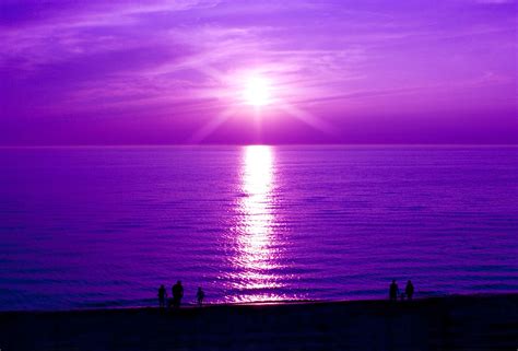 Pin By Suzie Sophie Simmons On Purple Passion Purple Sunset Stock