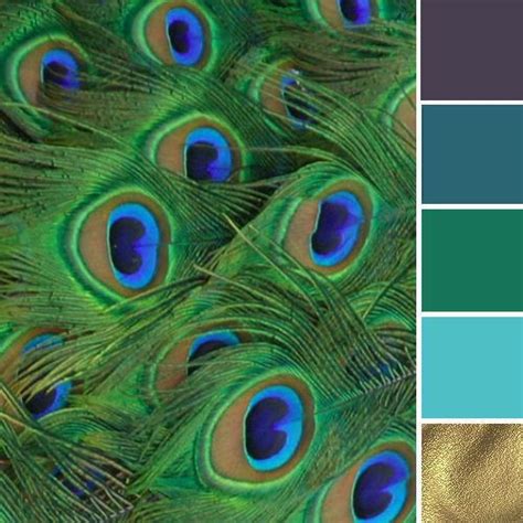 The structures of the blue, green, yellow. Peacock feathers .. Stunning in 2019 | Green colour palette, Green palette, Gold color palettes