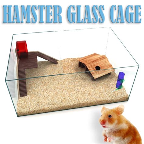 Glass Hamster Cage