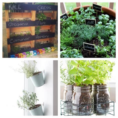 20 Easy Diy Herb Garden Ideas A Cultivated Nest