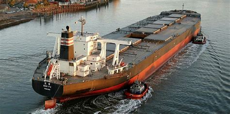 Capesize Owners Facing Prospect Of Idling Of Ships Tradewinds