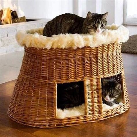 6 Unique Cat Bed Ideas With Pet Furniture Мебель для домашних
