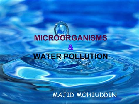 Microorganism And Water Pollution