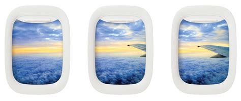 #tiger #believe #super tiger #plane #plane window #clouds #stripes #woah #cray cray #this tiger is da shit. Airplane Window Picture Frames | DudeIWantThat.com
