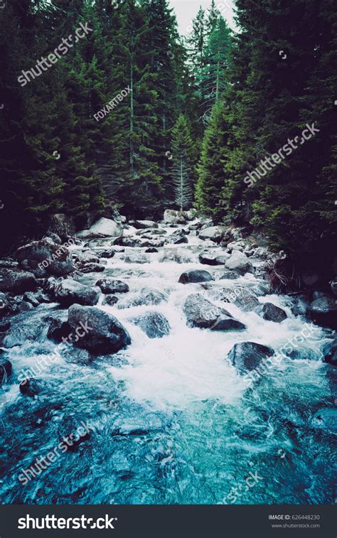 Pine Tree Forest River Flows Through Stock Photo Edit Now 626448230