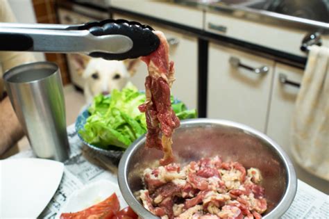 {{ login_id.substr(0, 30) }}{{ login_id.length > 30 ? 家 焼肉 ホットプレート おすすめ - HTFYL