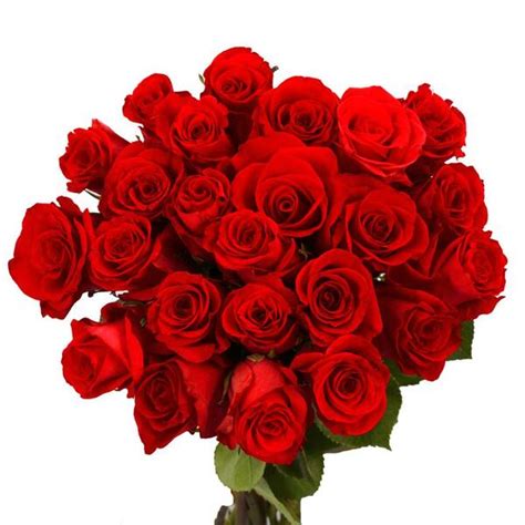 Globalrose Fresh Red Valentine´s Day Roses 50 Stems 50 Red Roses