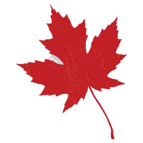 Canadian Leaf Png Png Image Collection