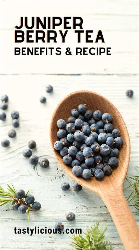Juniper Berry Tea Benefits And Recipe Tastylicious Recipe In 2022
