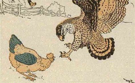 The Hawk And The Hen Kids Story Short Stories For Kids