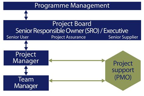 the role of the pmo in supporting project managers