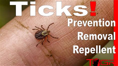 How To Prevent And Remove Ticks Youtube