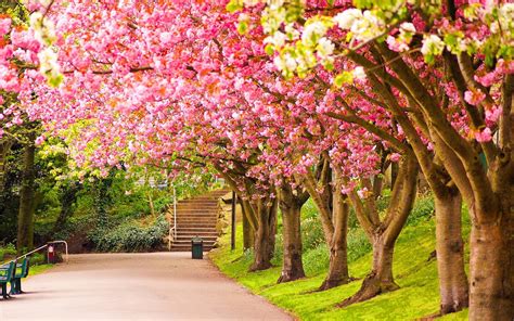 Spring Nature Wallpapers Wallpaper Cave