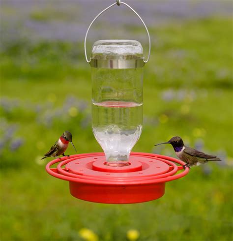 Best 1 Hummingbird Feeder Yardbirds
