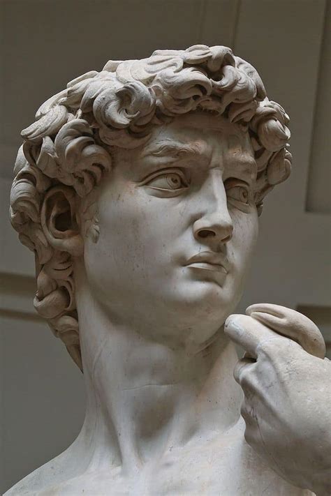 Why Michelangelos Heroic David Is Arts Most Admired Sculpture