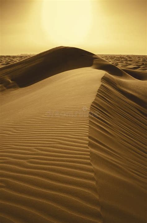 Puesta Del Sol En El Desierto Foto De Archivo Imagen De Paisaje
