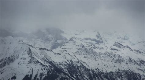 Swiss Alps 004 Steve Evans Flickr