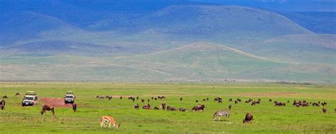 The Ngorongoro Crater Tanzania Wildlife Safari Explore Tanzania