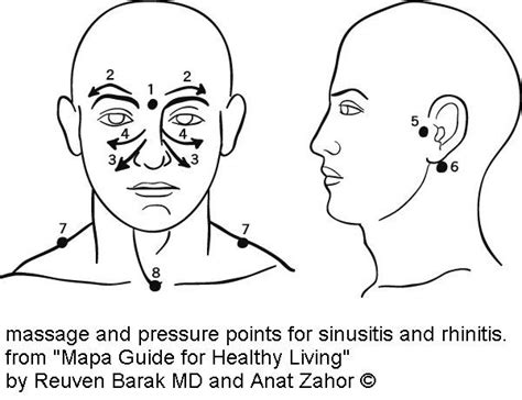 Massage And Pressure Points For Sinusitis And Rhinitis I Hope This