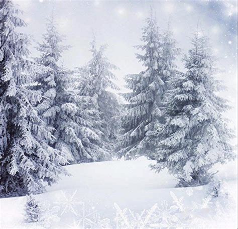 Snow Backdrop Arka Plan Fonlar Manzara Fotoğraf