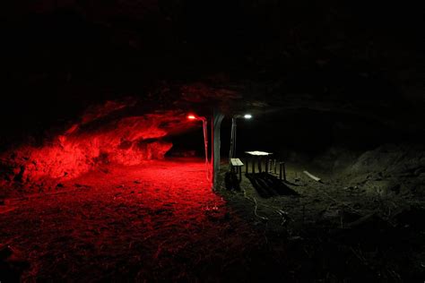 Illumination Drives Bats Out Of Caves No Matter The Color Of The Light