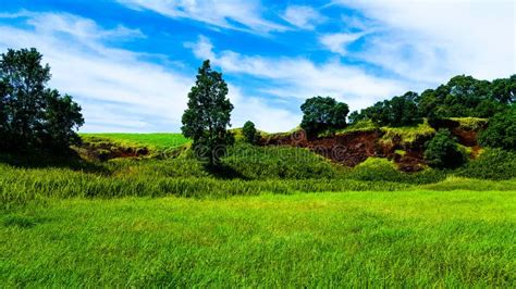 Beautiful Green Pastures Island Of Hawaii Stock Image Image Of
