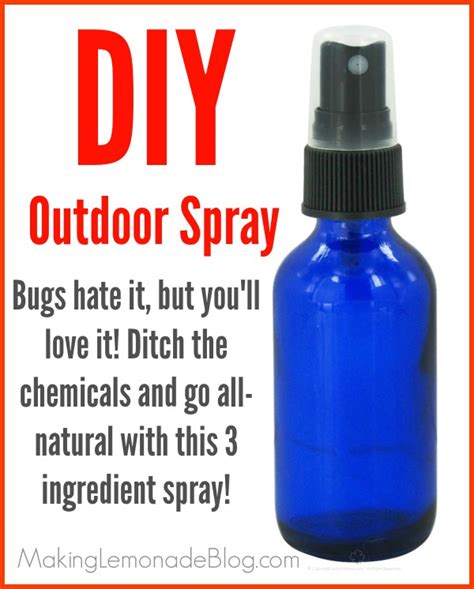 Homemade Outdoor And Camping Spray Bugs Hate It