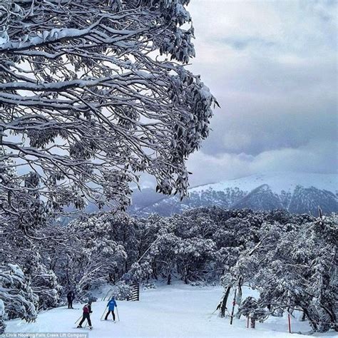 Australian Snowfields Experience Perfect Conditions Thanks
