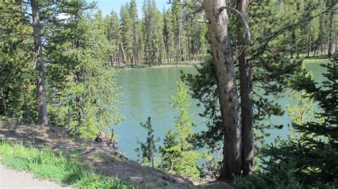 Grant Village Campground Prices And Reviews Yellowstone National Park Wy