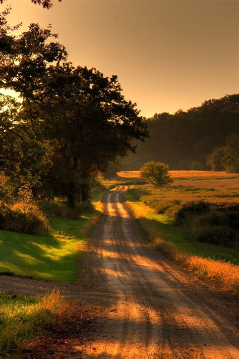 Country Road On Summer Dusk Country Roads Landscape Photography