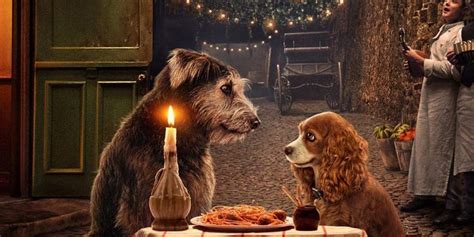 The tramp is the deuteragonist from lady and the tramp and the tritagonist in the sequel lady and the from stray to pet: Meet Lady & The Tramp's Rescue Dog Stars In Adorable Video