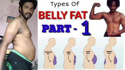 Belly Fat Types Of Belly Fat Part One Tamil Vinothjustice