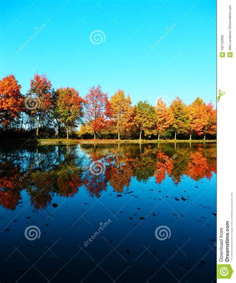 Beautiful Autumnal Trees Reflection On Water Stock Photo Image Of