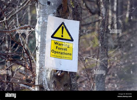 Forest Operations Warning Sign In A Forest Logging Operation In Wales